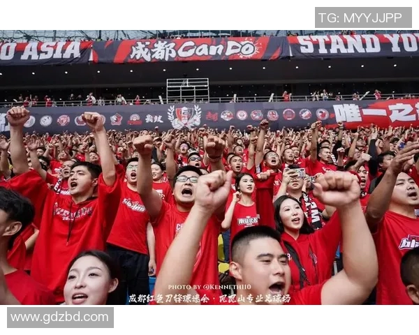 足球明星们最爱的动听歌曲推荐让你感受激情与梦想的完美结合